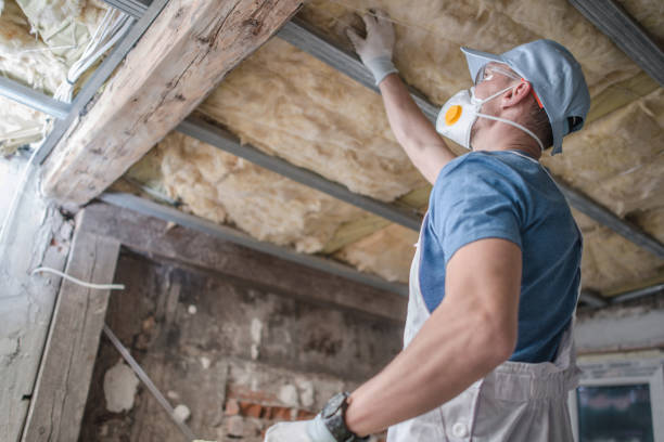Best Specialized Insulation Services in Bellbrook, OH